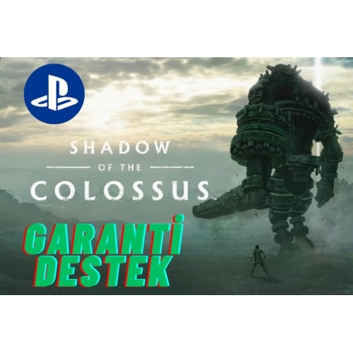  SHADOW OF THE COLOSSUS PS4-PS5